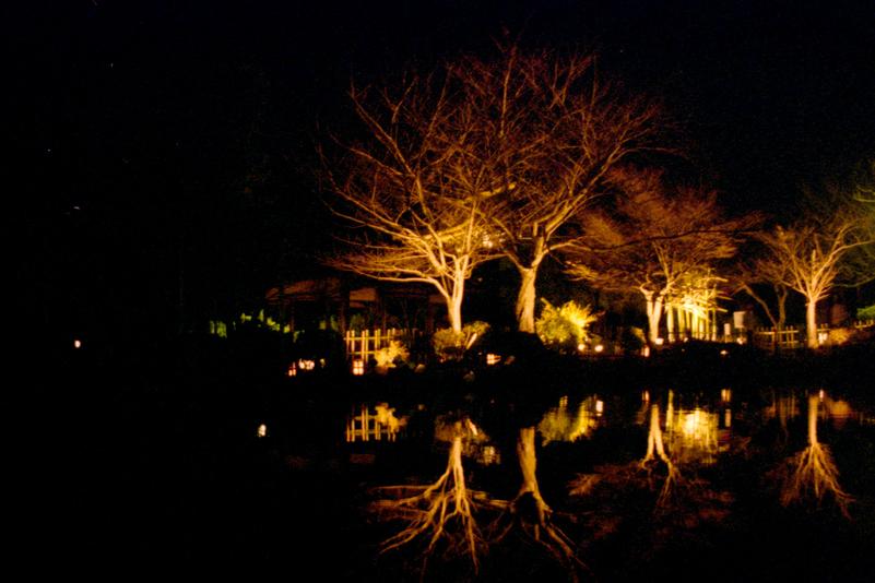 Le parc Maruyama durant le festival Hanatōro.