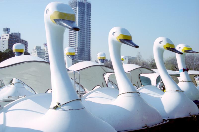 Des bateaux en forme de cygne au parc Ueno.