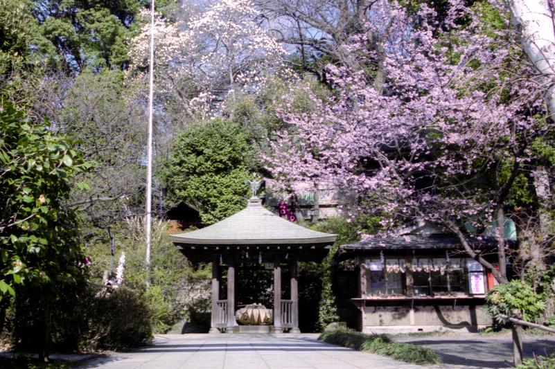 Près du temple Gojoten.