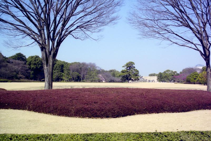Les jardins du palais impérial.