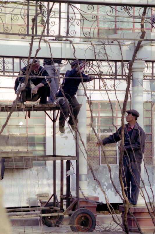 Des hommes travaillent sur les vignes qui couvrent la rue.