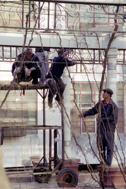 Des hommes travaillent sur les vignes qui couvrent la rue.