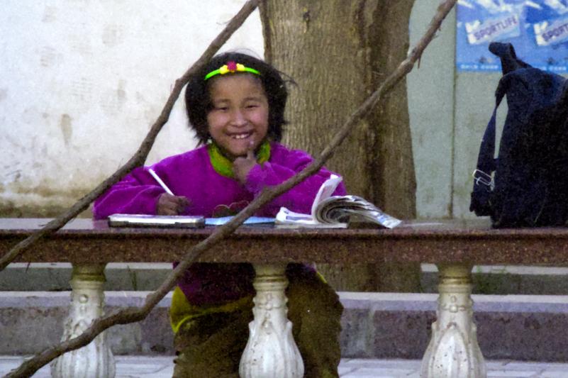 Une petite fille fait ses devoirs.
