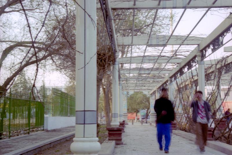 Deux hommes marchent sous les treillis de vigne.
