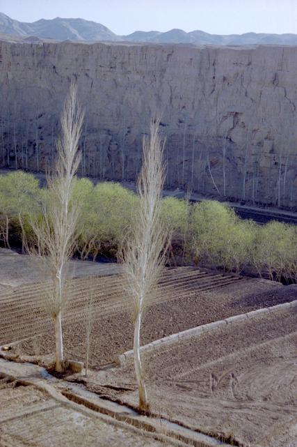 Un champ dans la vallée de la rivière, près des ruines de Jiaohe.
