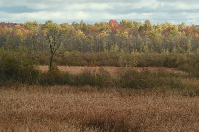 Au lac Boivin