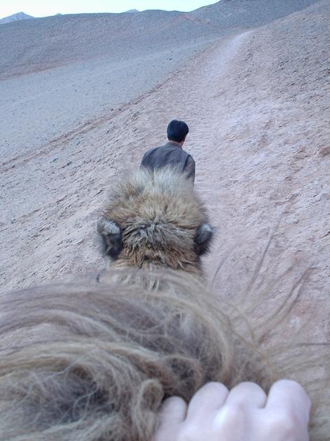 Turpan