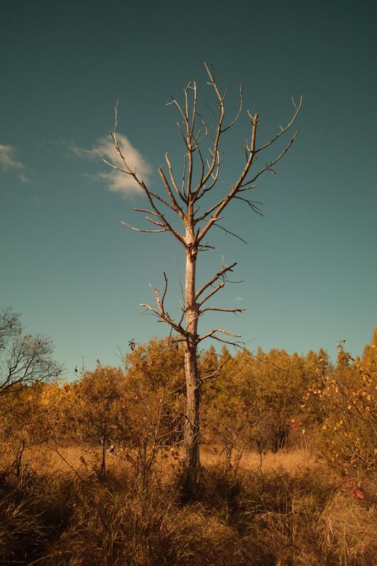Un paysage automnal au lac Boivin, Granby, Québec.