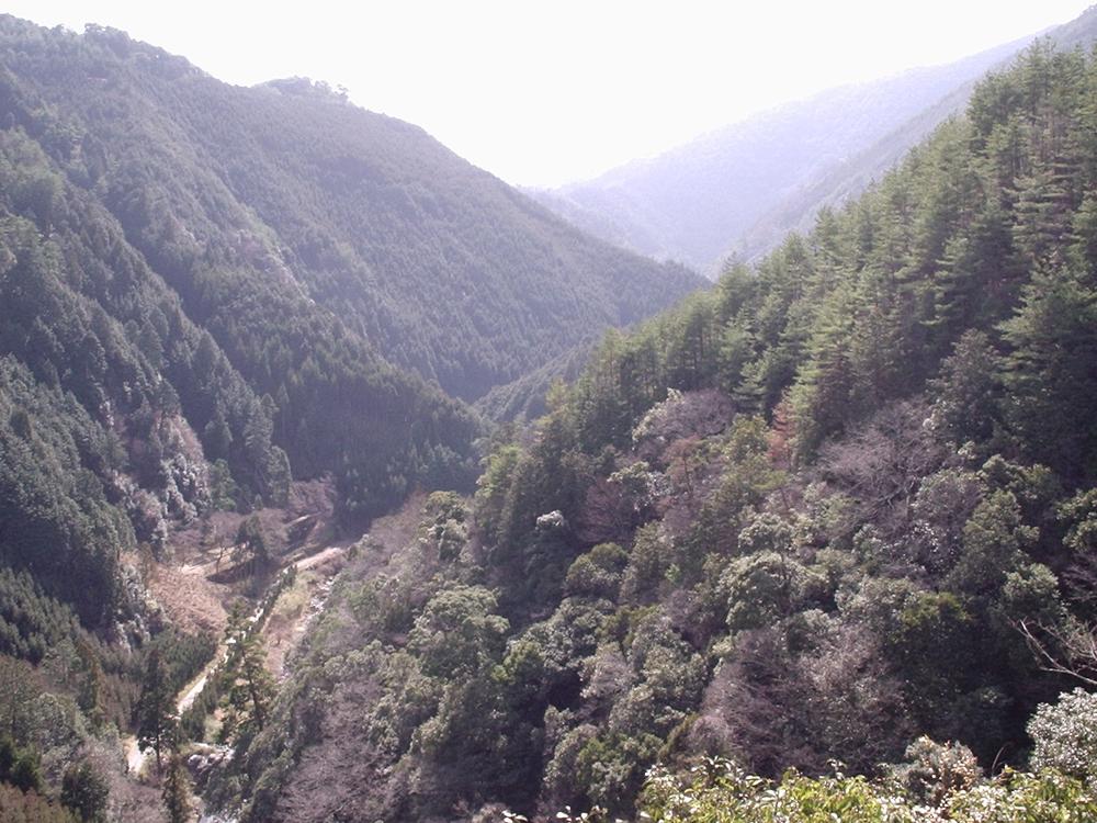 Les montagnes de Takao, au nord-ouest de Kyōto.