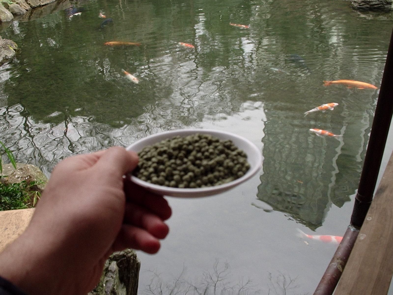 Un festin se prépare