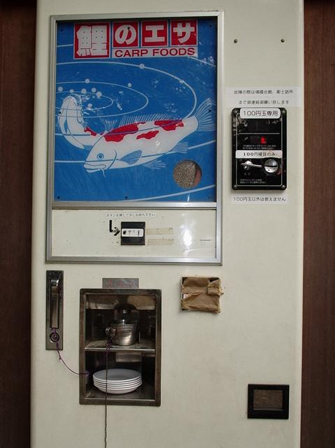 Machine distributrice de nourriture pour carpes