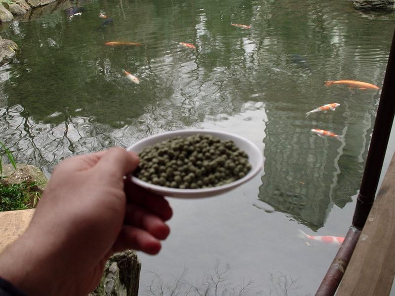 Un festin se prépare