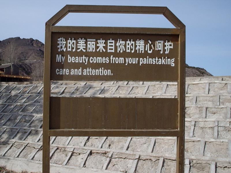 Affiche "Ma beauté vient de tes soins attentifs."